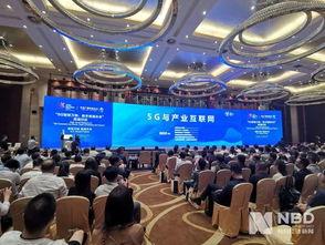 吕四最新爆料视频播放,一窥当地风土人情与热点事件